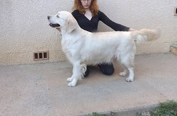 Hearunes Magic fairytale