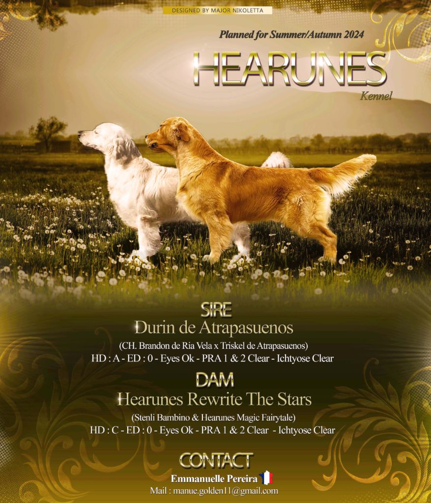 Hearunes - NEWS 2024
